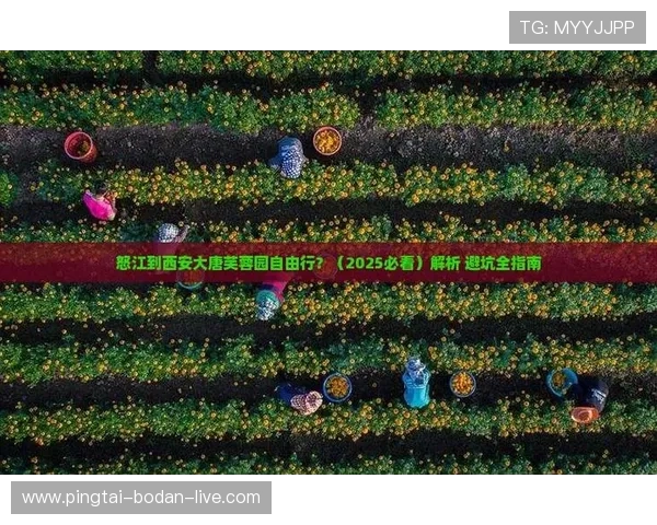 足球直播在线观看免费观看彩票玩法防骗避坑指南 足球直播在线观看免费观看彩票玩法防骗避坑指南